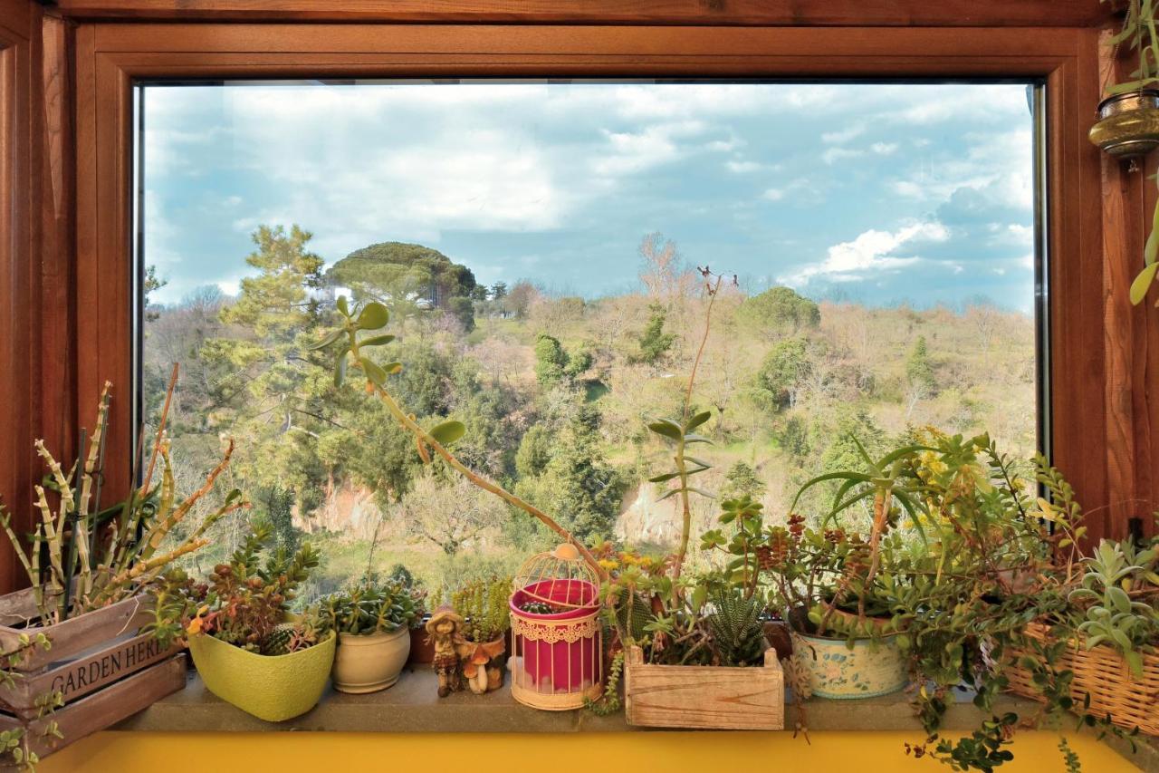 La Casetta Della Nonna Bagnoregio Ngoại thất bức ảnh