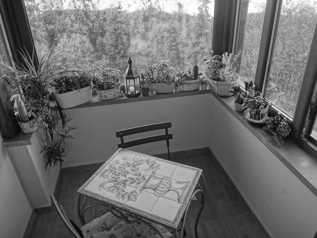La Casetta Della Nonna Bagnoregio Phòng bức ảnh