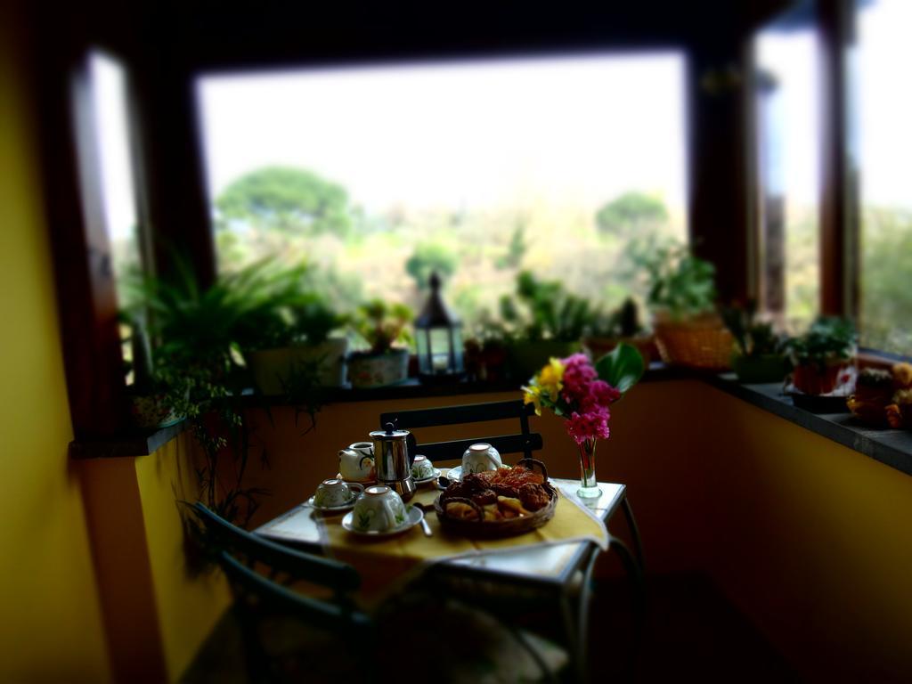 La Casetta Della Nonna Bagnoregio Ngoại thất bức ảnh
